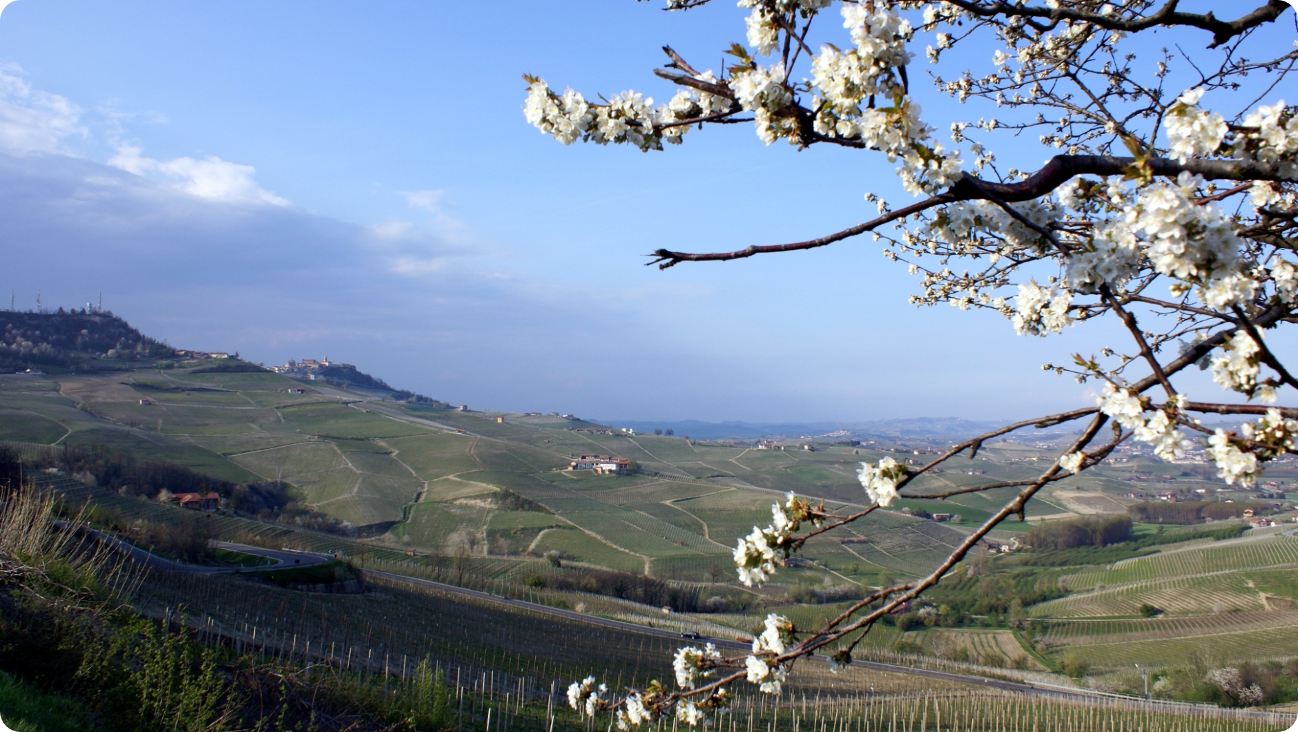 Le attività e i servizi del Consorzio