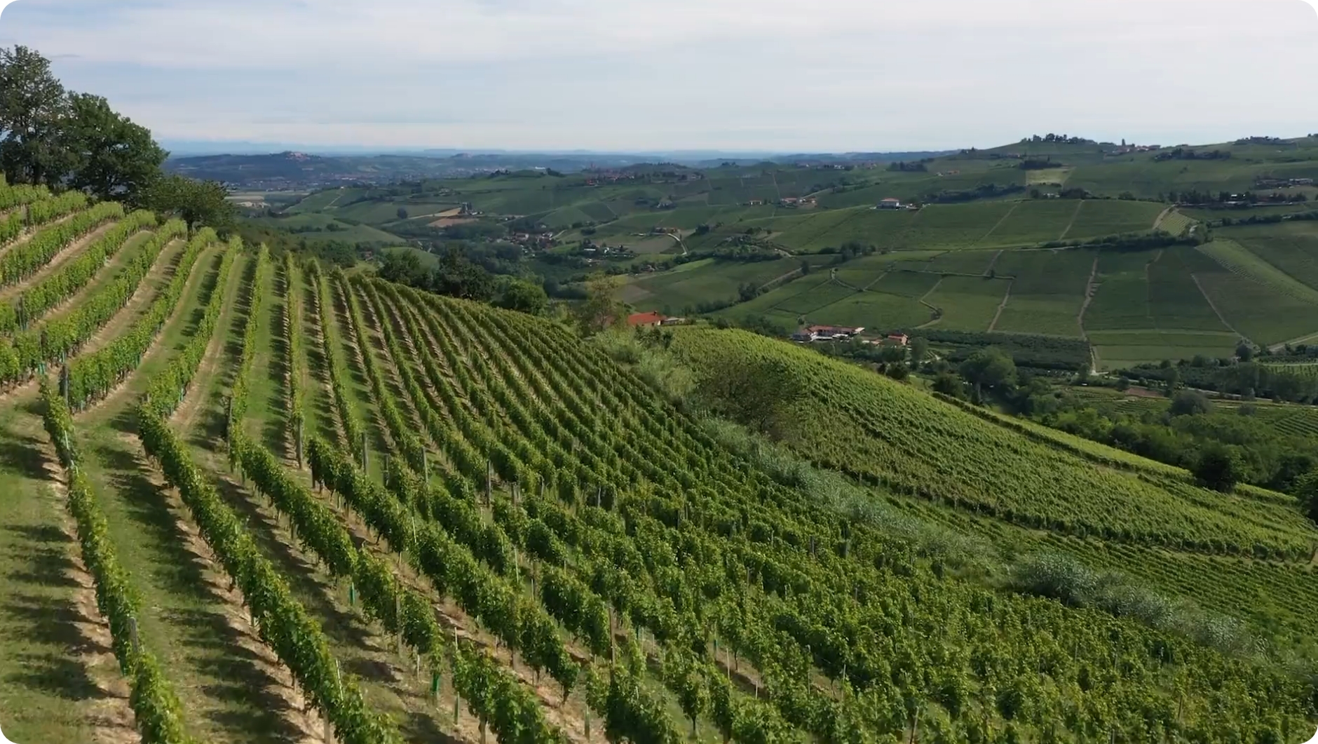 Nei nostri vini vive l’anima di un territorio unico