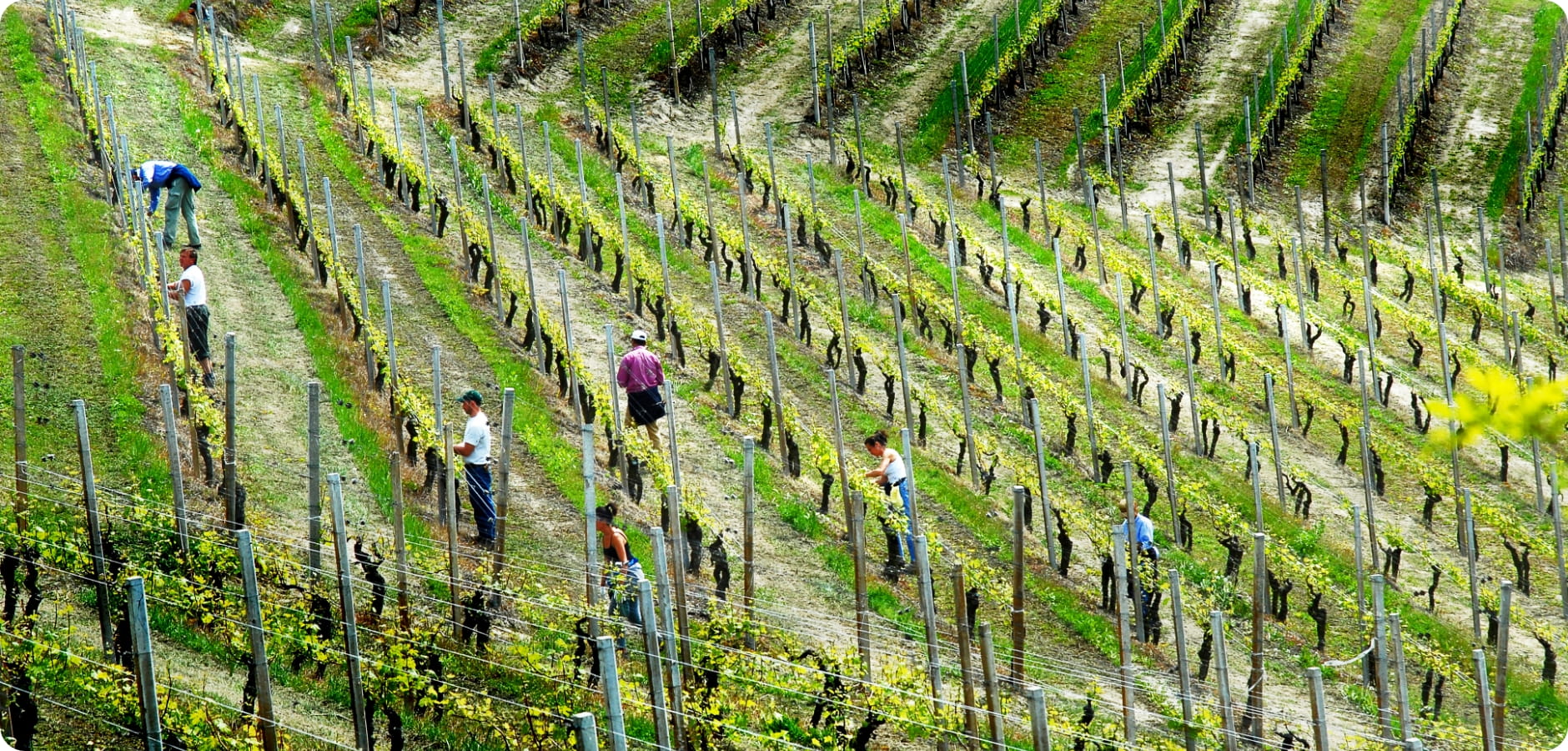 I soci del Consorzio