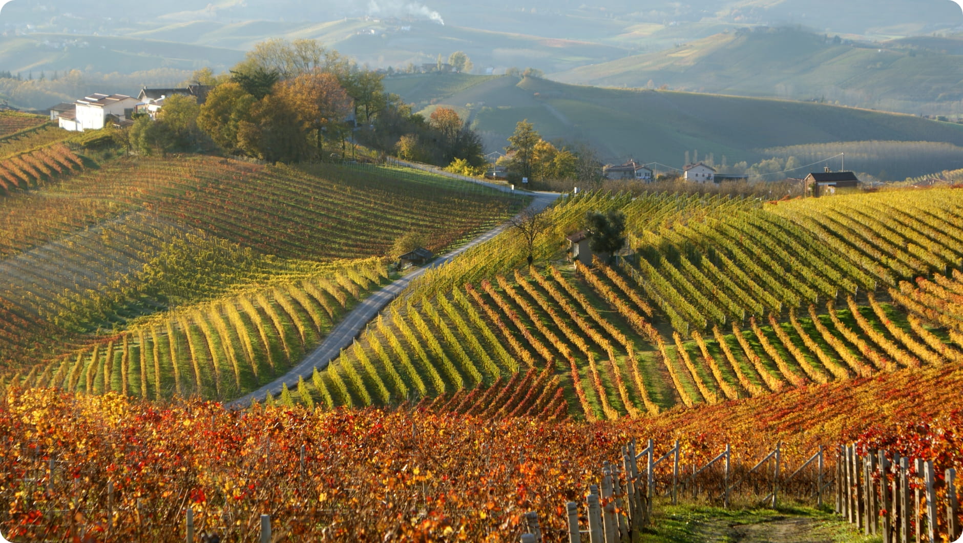 Da 90 anni a tutela del Barolo Barbaresco Alba Langhe e Dogliani