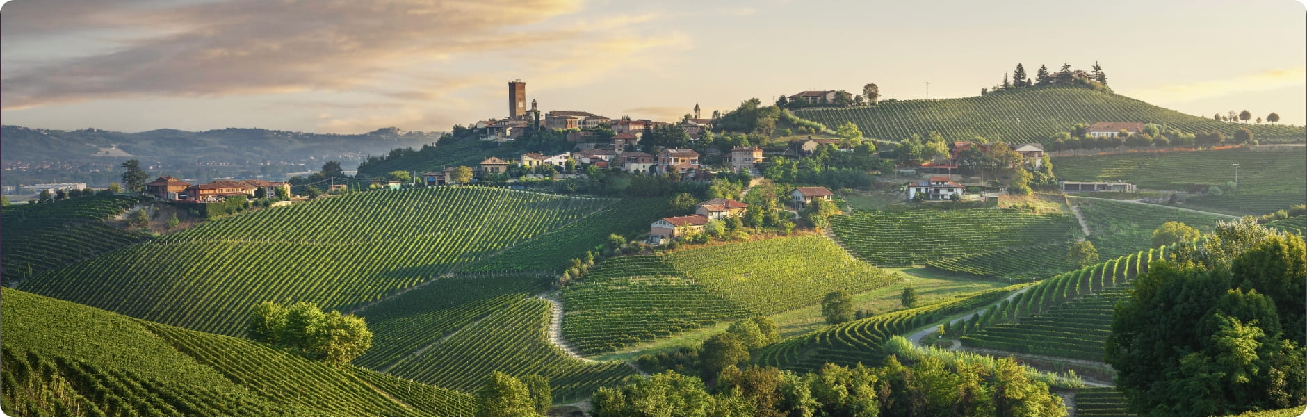 Le Langhe